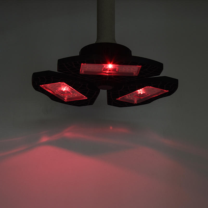 Clover UV-Lampe